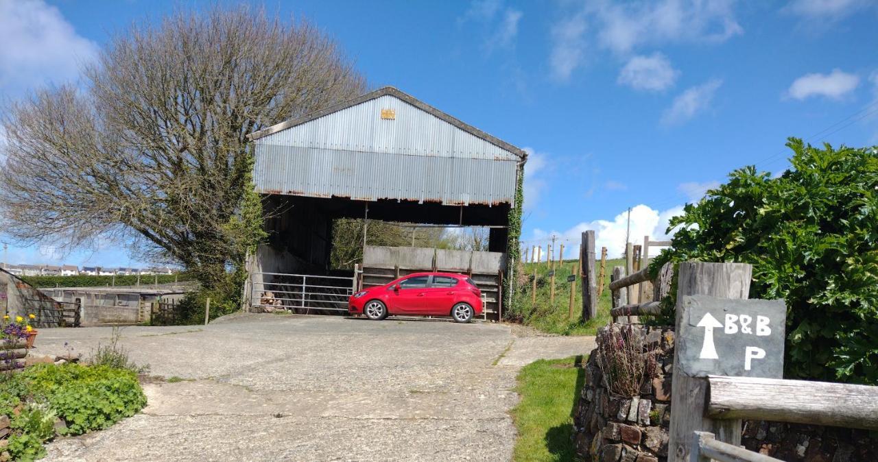 Sharlands Farm Bed And Breakfast Bude Extérieur photo